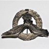 PILOT BADGE LW