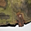 HELMET COVER W.SS CAMOUFLAGE