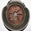 KRIEGSMARINE HELMET M40 SINGOLDEKAL