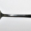 SS-REICH SPOON