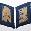 LUFTWAFFE MEDICAL COLLAR TABS
