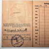 LIBRETTO-PASS MEMBRI HITLER JUGEND