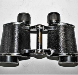  - GERMANIA - GERMANIA