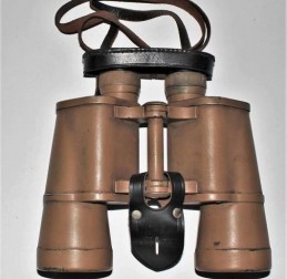  - GERMANIA - GERMANIA