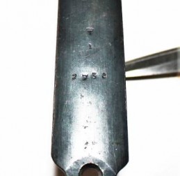  - GERMANIA - GERMANIA