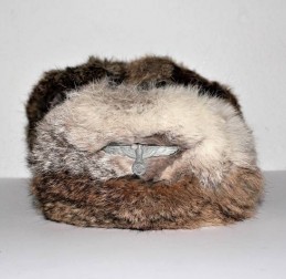  - GERMANIA - GERMANIA