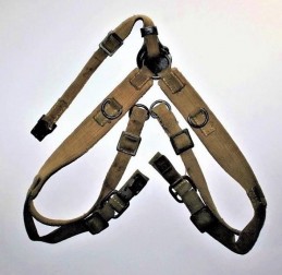  - GERMANIA - GERMANIA