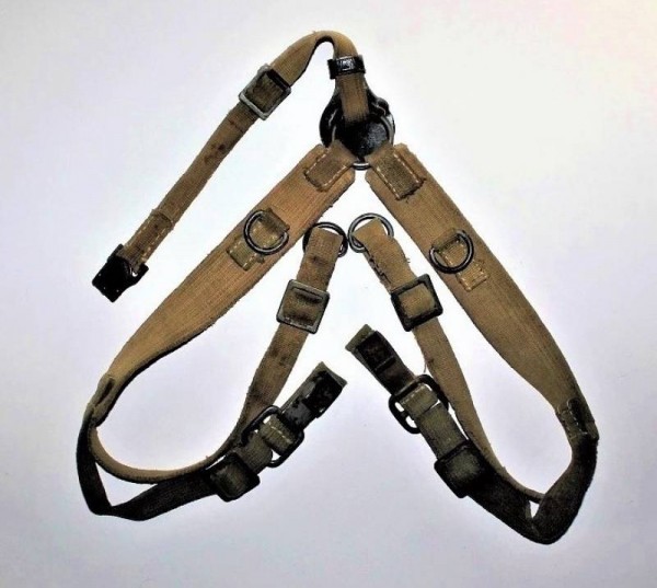 TROPICAL DAK Y STRAP